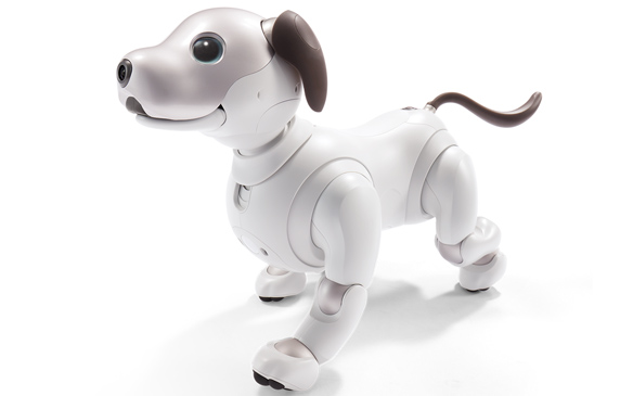 aibo amazon