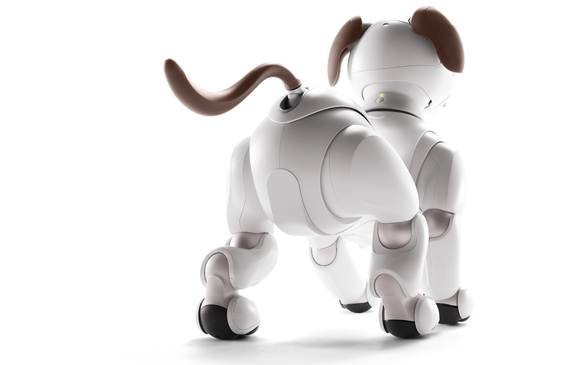 aibo figure2