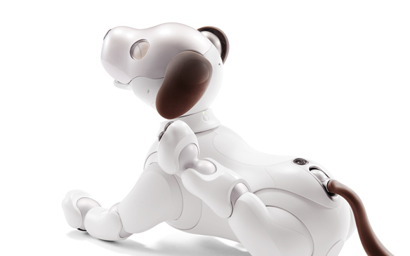 aibo figure3