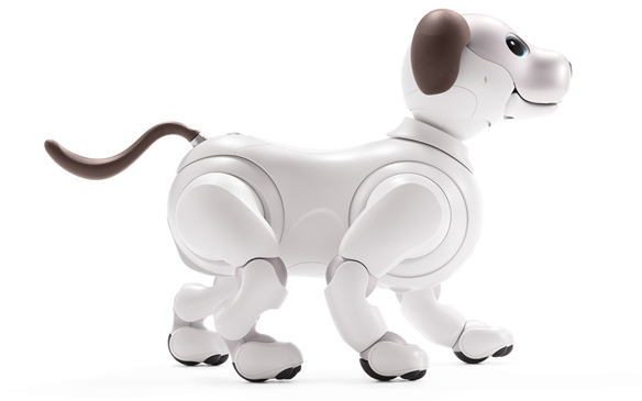 aibo figure6