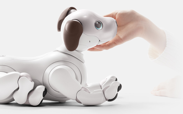 aibo - Communication