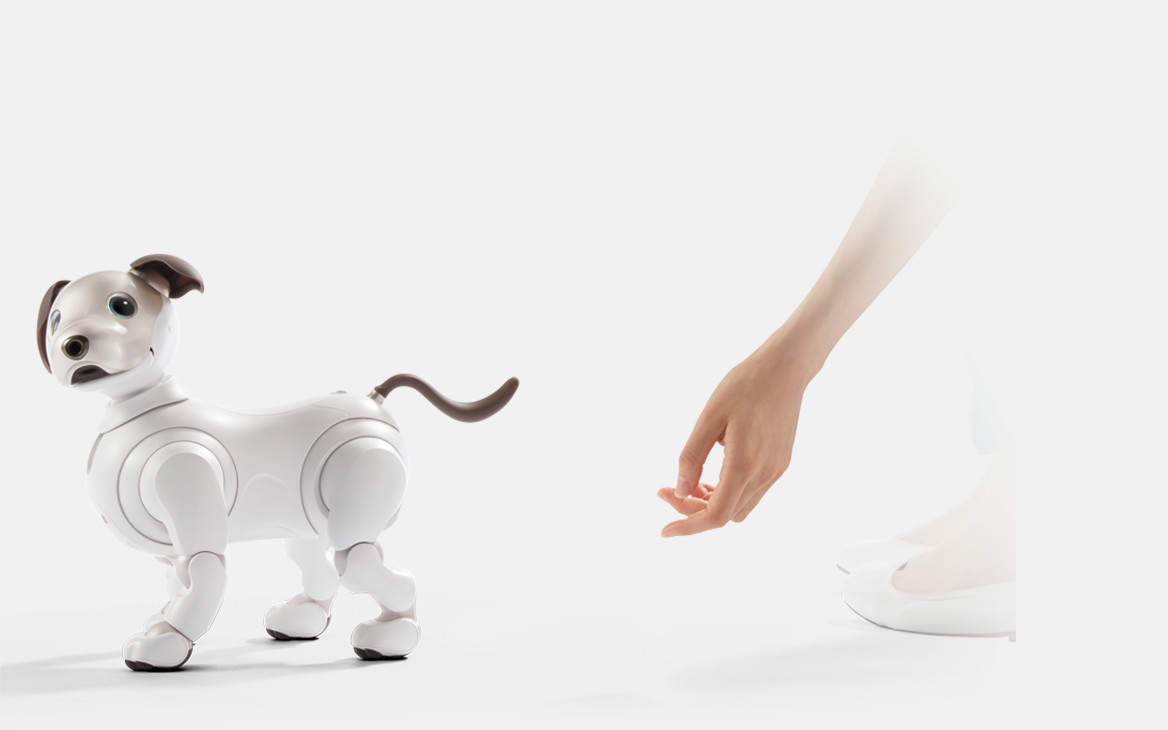 aibo amazon