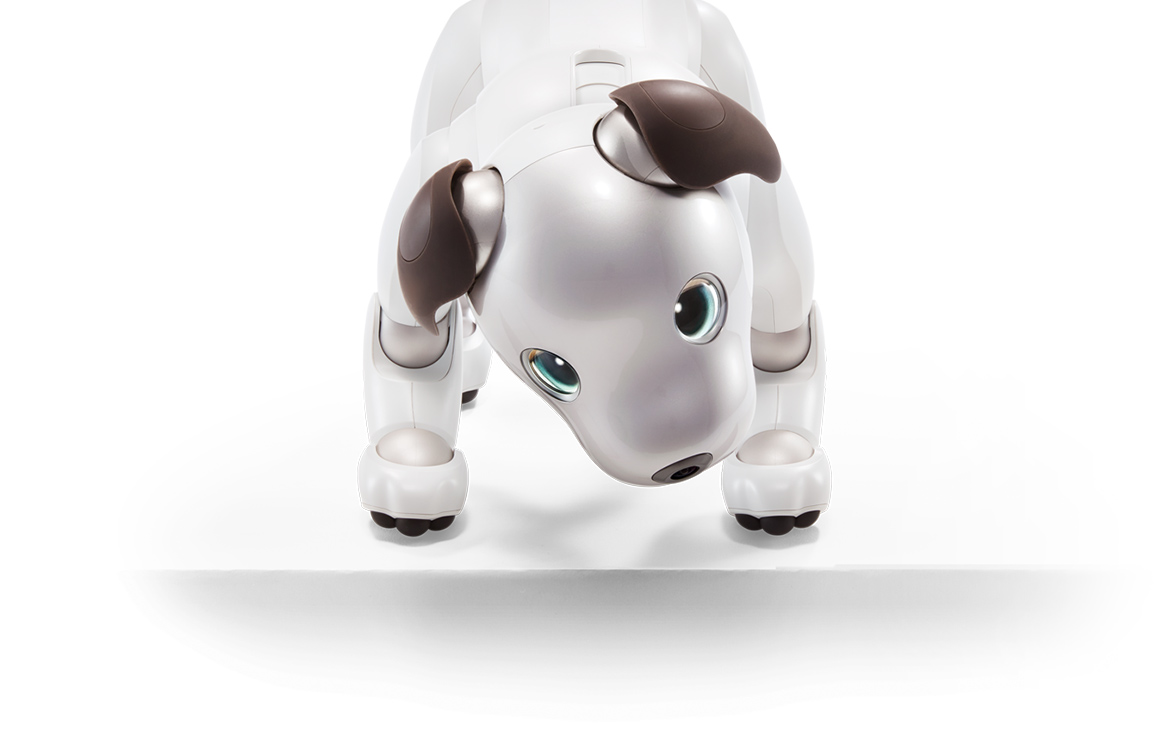 aibo Communication