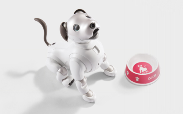 Get new tricks from the aibo store
