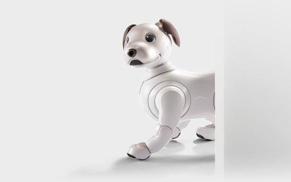 aibo learns its surroundings