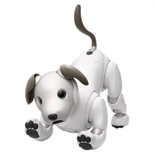 Il destino di AIBO, primo cane robot - Imperial Bulldog