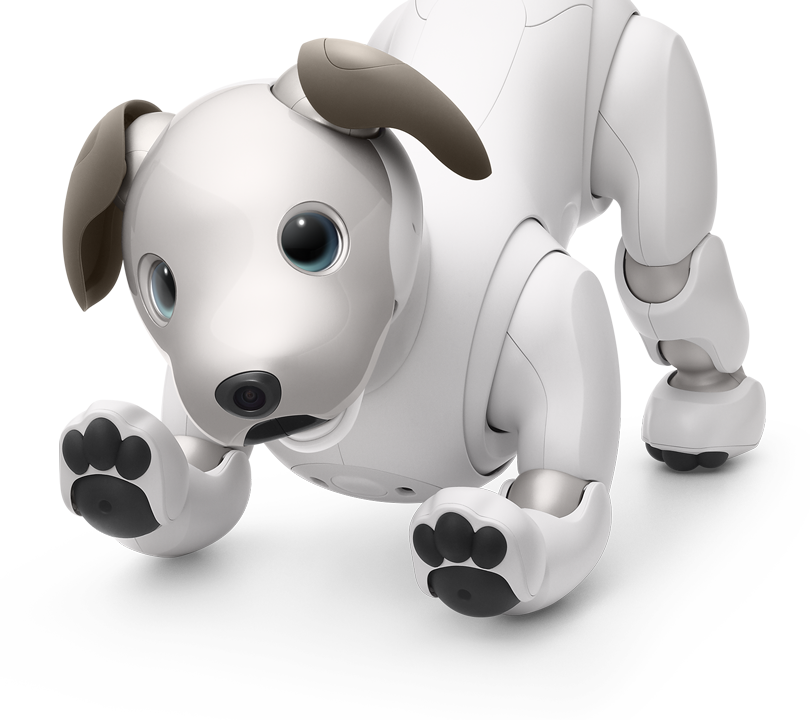 aido robot dog