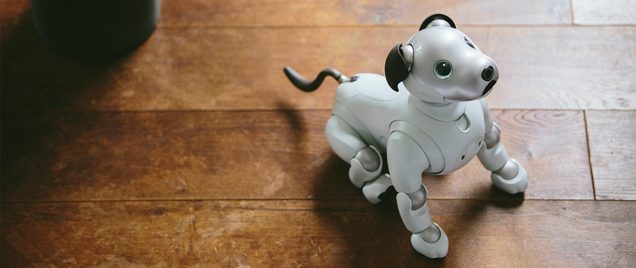 24zampe  A Tokyo Sony presenta Aibo, il nuovo cane-robot