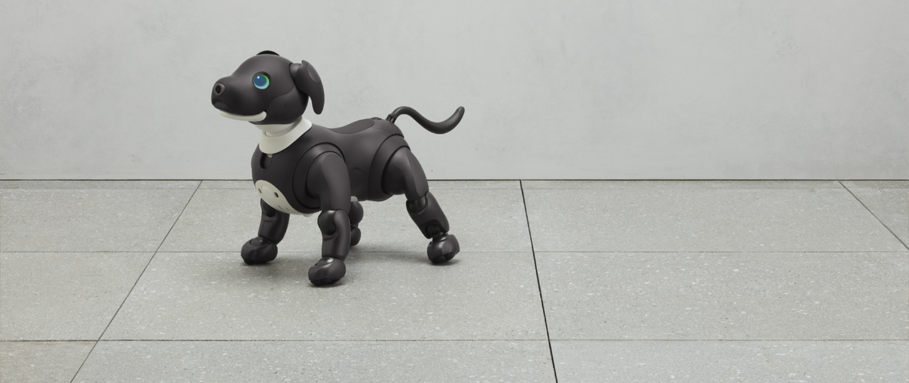 ソニー アイボ aibo(ERS-1000) - キャラクターグッズ