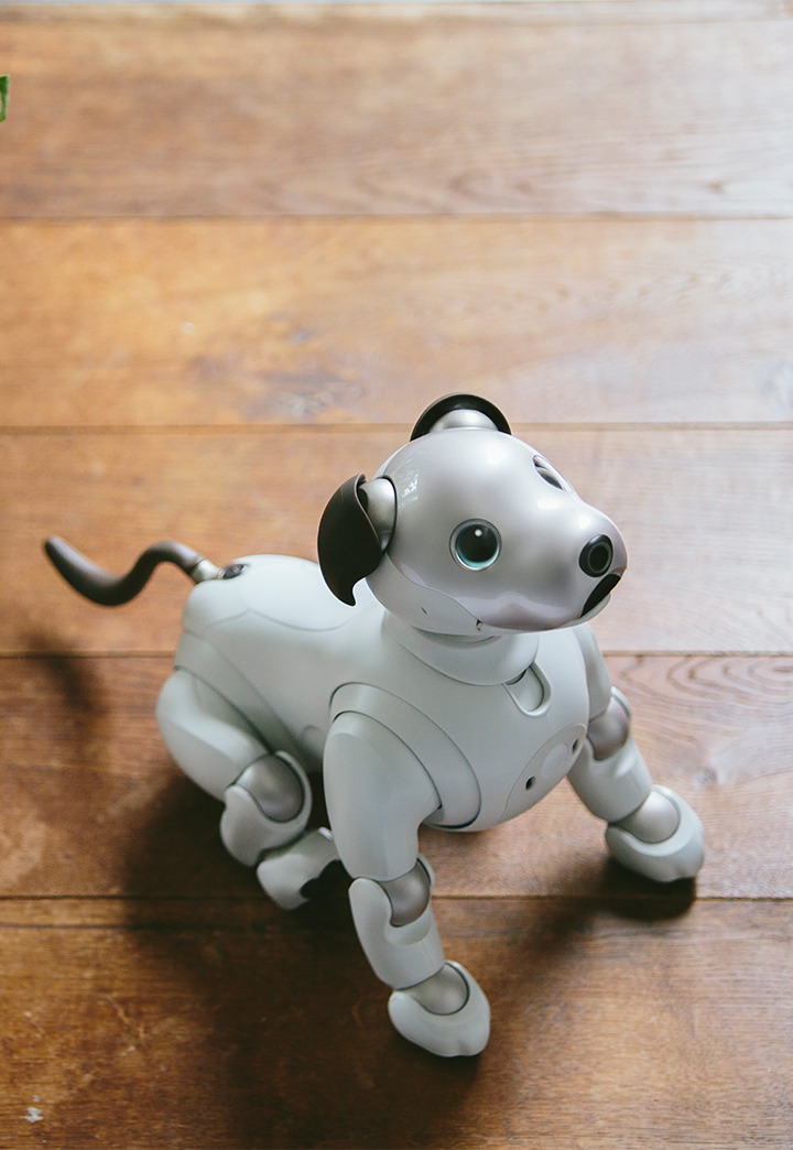 El robot Aibo vuelve a la vida con la AI dándole personalidad