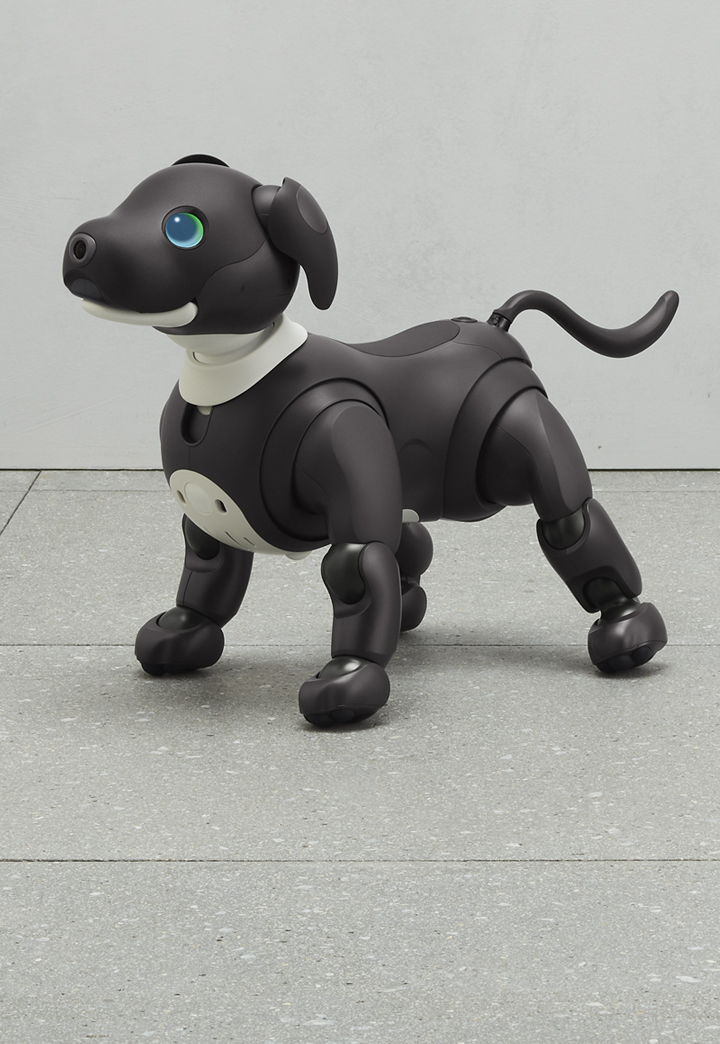 aibo(ERSー1000) エンターテイメントロボット犬 SONY - その他