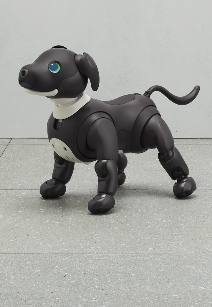 Sony lanzará su perro robot Aibo fuera de Japón, pero a un precio