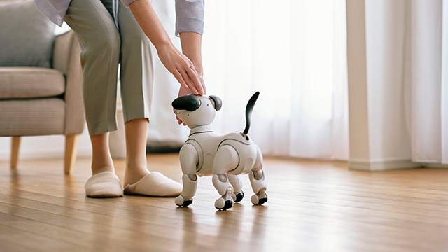 Aibo, il cane robot vietato in Illinois perché riconosce i volti