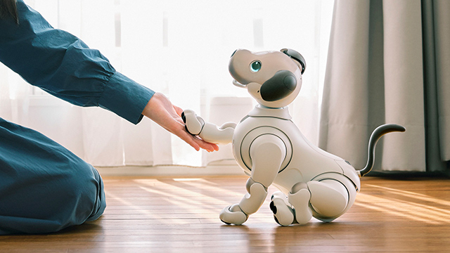 Aibo – un chien robot ultra-réaliste - Corps en Immersion