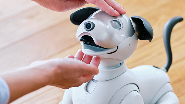 Sony crea un programa para adoptar perros robots Aibo y destinarlos a  instituciones médicas