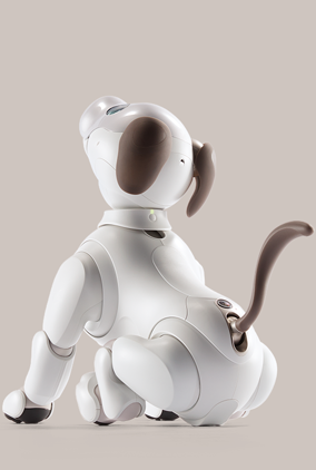 sony aibo amazon