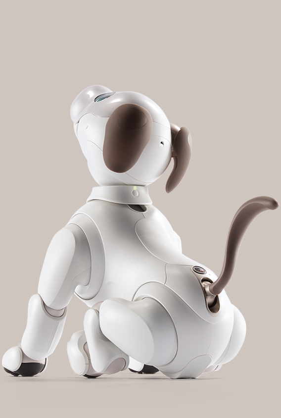 aibo i