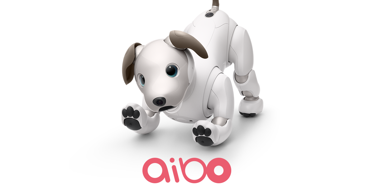 sony aibo robot dog